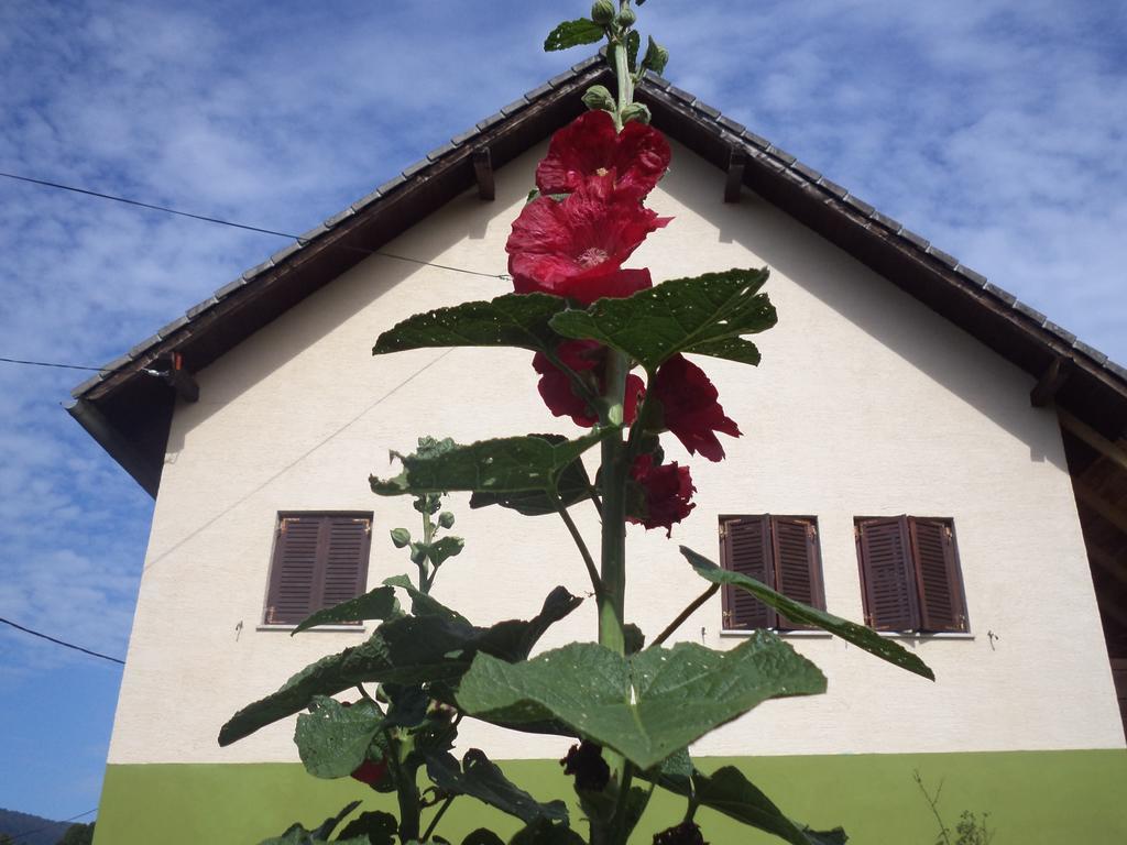 Guesthouse Loncar Plitvička Jezera Exterior foto